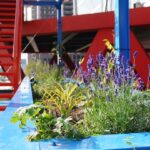 Tuinplanten De Jong sponsort de Containertrap